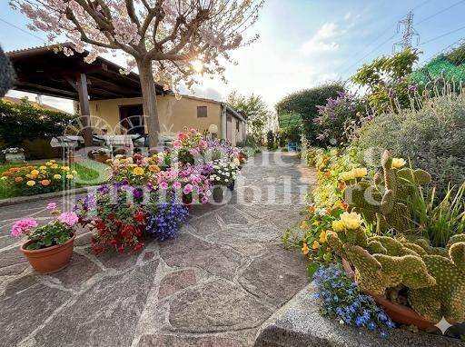 casa indipendente in vendita a Pisa in zona Putignano