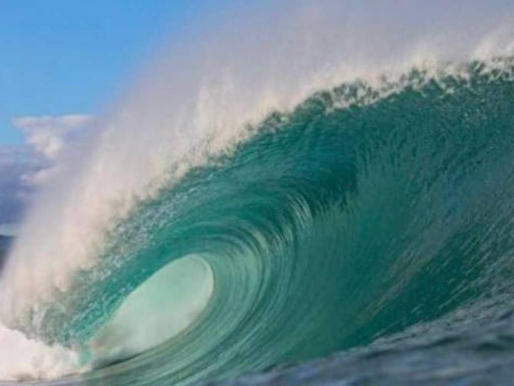 appartamento in vendita a Pisa in zona Tirrenia