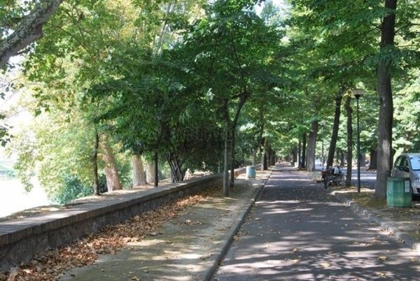appartamento in vendita a Pisa in zona Le Piagge