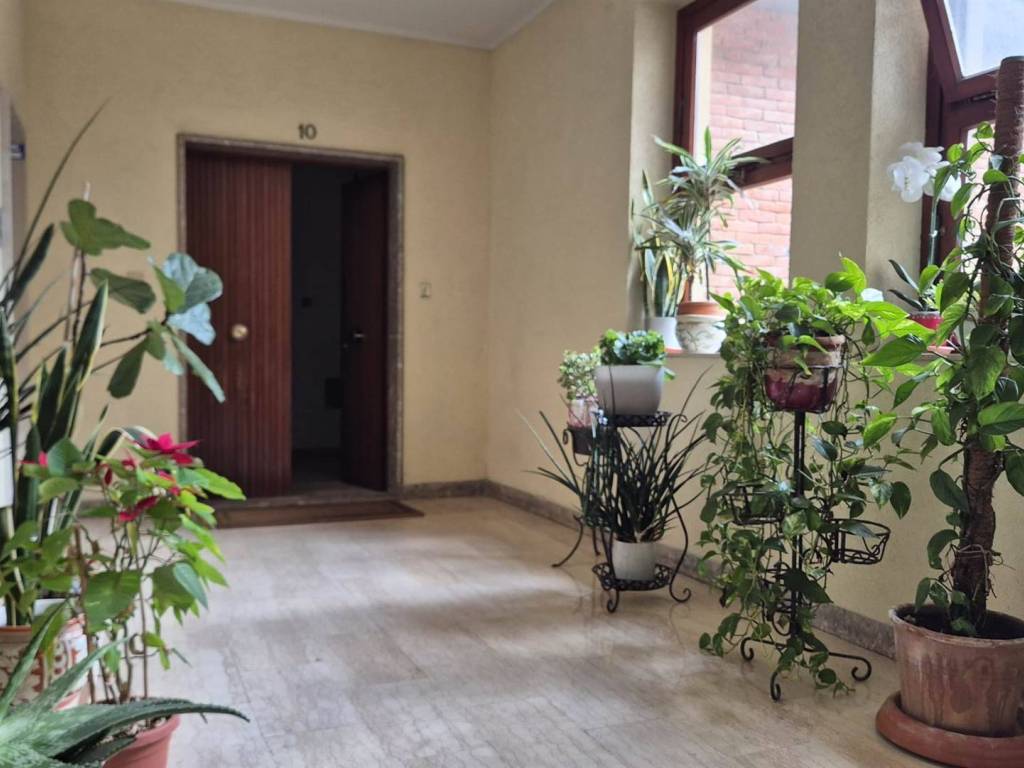 appartamento in vendita a Pisa in zona Le Piagge