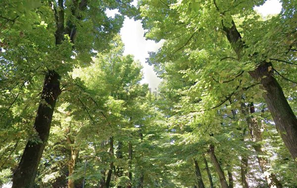 appartamento in vendita a Pisa