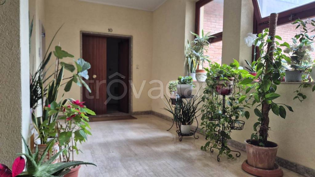 appartamento in vendita a Pisa in zona Le Piagge