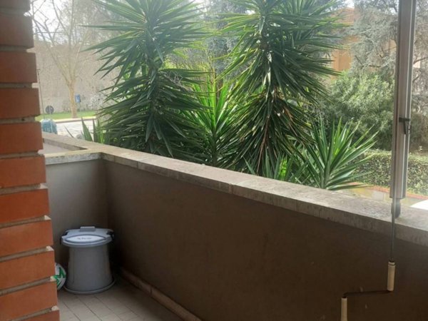 appartamento in vendita a Pisa in zona Ingegneria