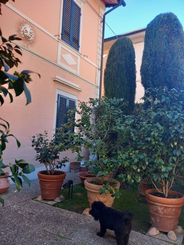 casa indipendente in vendita a Pisa