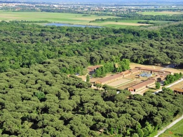 appartamento in vendita a Pisa in zona Barbaricina