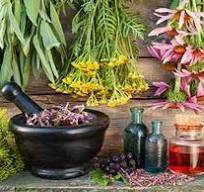 negozio in vendita a Pisa