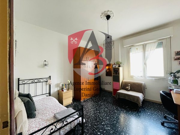 appartamento in vendita a Pisa in zona Quartiere San Martino