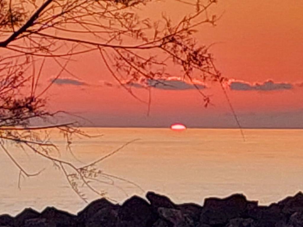 appartamento in vendita a Pisa in zona Calambrone