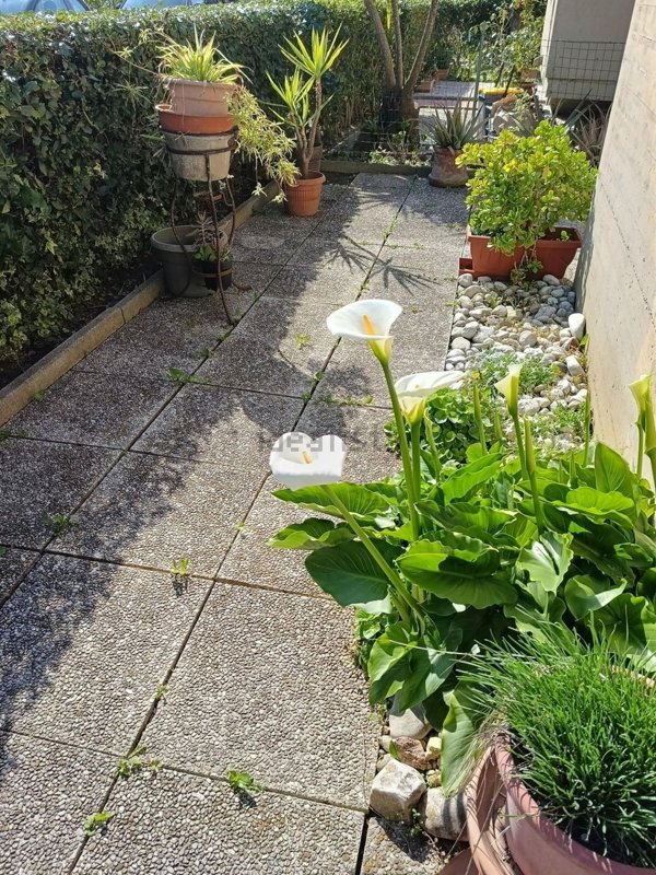 appartamento in vendita a Pisa in zona Putignano