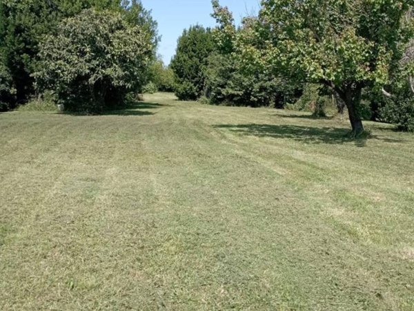 terreno agricolo in vendita a Pisa in zona La Vettola