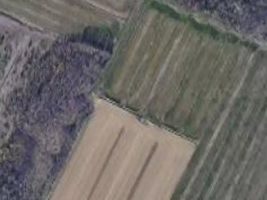 casale in vendita a Pisa