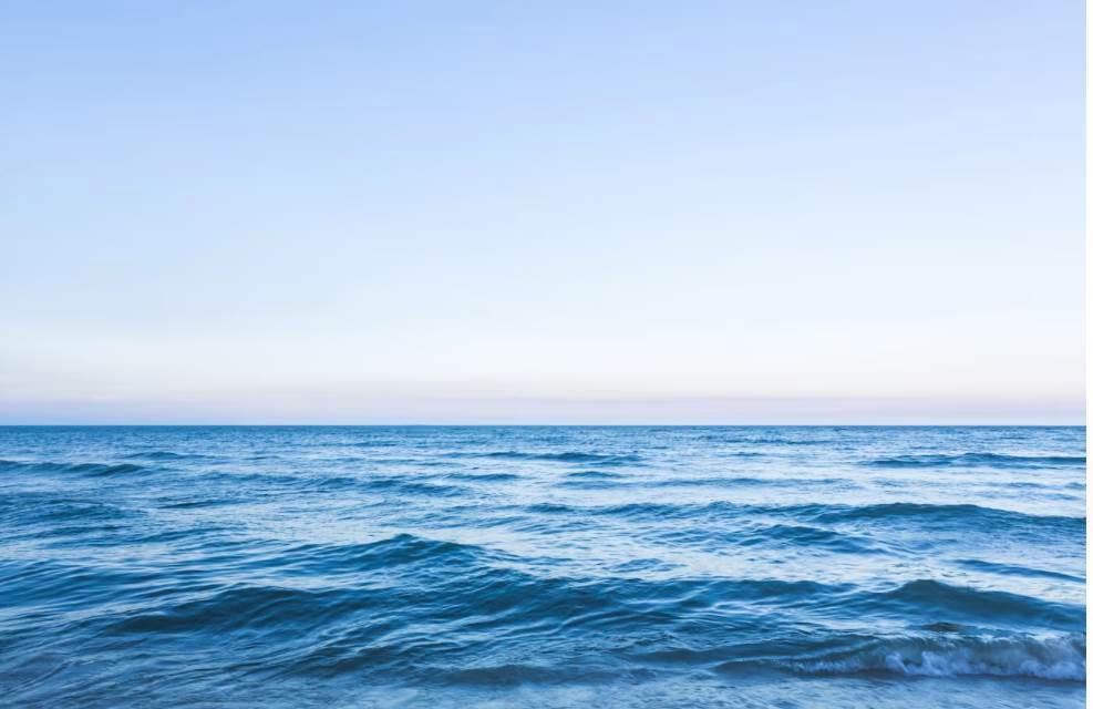 appartamento in vendita a Pisa in zona Tirrenia