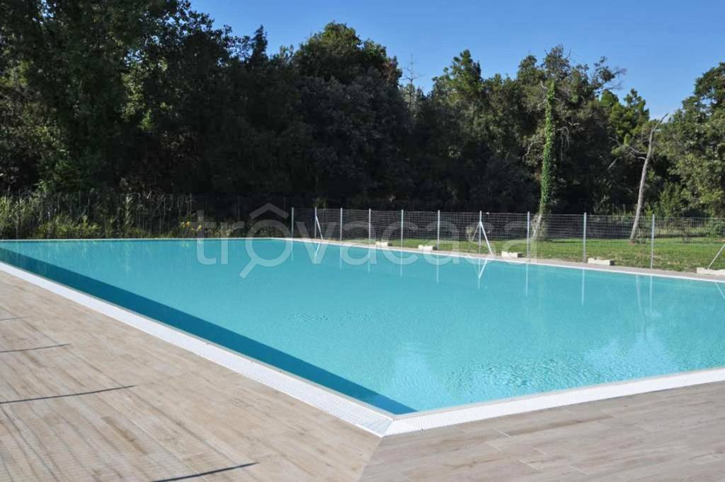 appartamento in vendita a Pisa in zona Calambrone