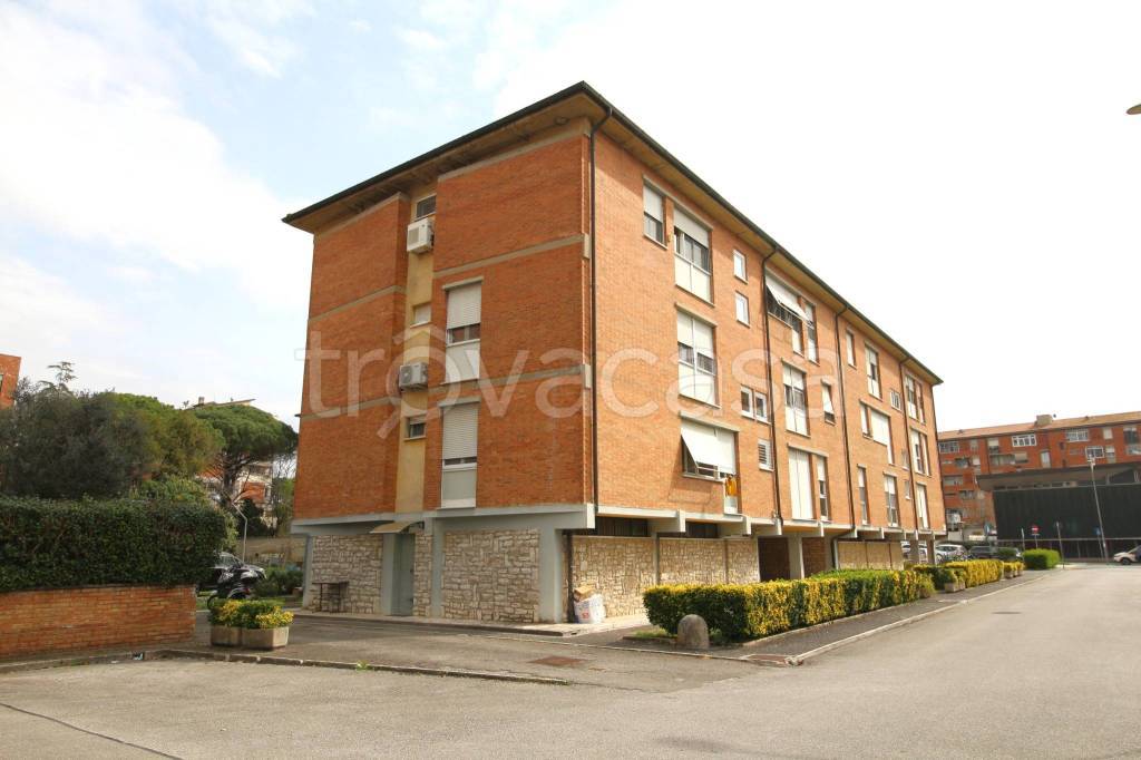 appartamento in vendita a Pisa in zona Centro Storico