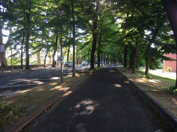 appartamento in vendita a Pisa in zona Le Piagge