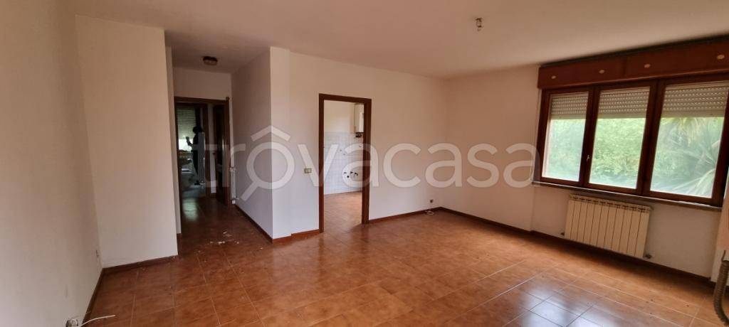 appartamento in vendita a Pisa in zona Putignano