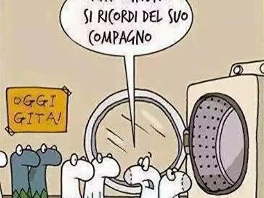negozio in vendita a Pisa in zona Centro Storico