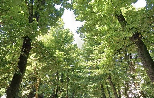 appartamento in vendita a Pisa in zona Le Piagge