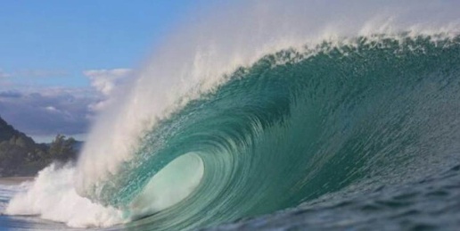 appartamento in vendita a Pisa in zona Tirrenia