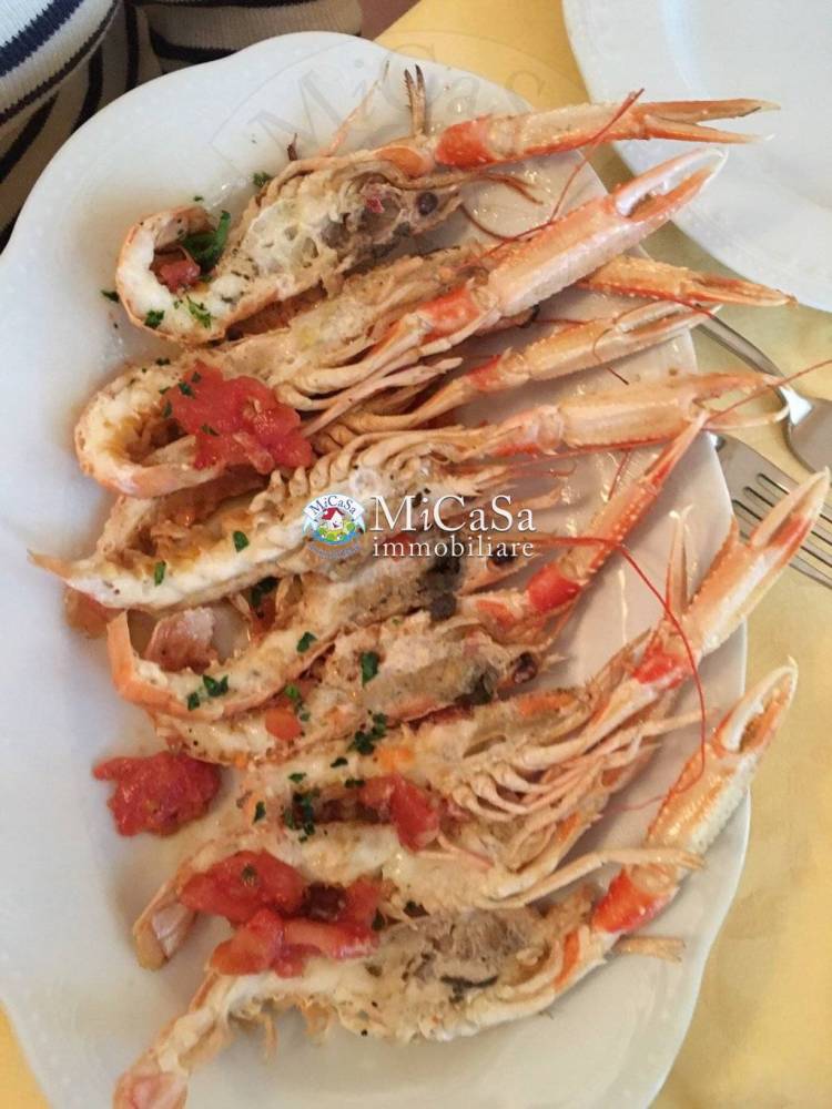 negozio in vendita a Pisa