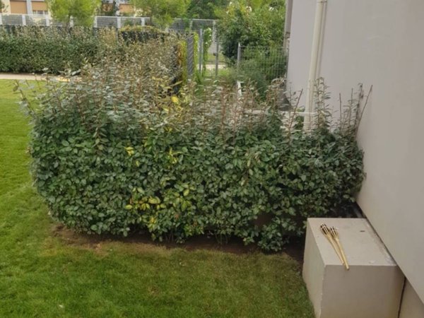 casa indipendente in vendita a Pisa in zona Marina di Pisa