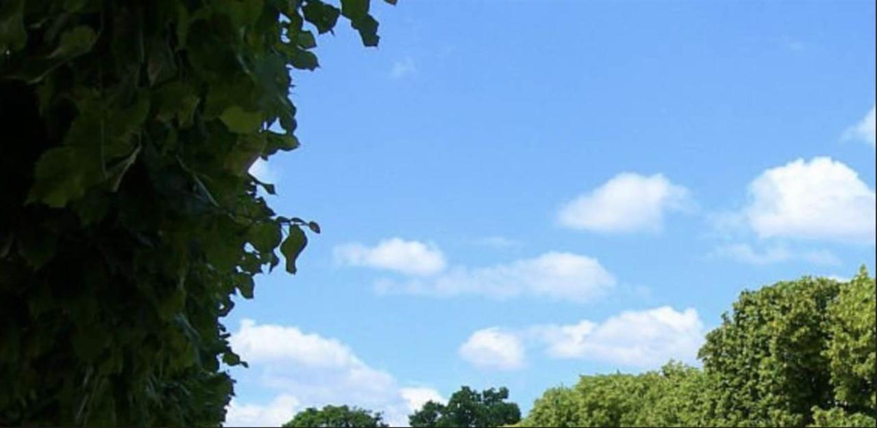 appartamento in vendita a Pisa in zona Centro Storico