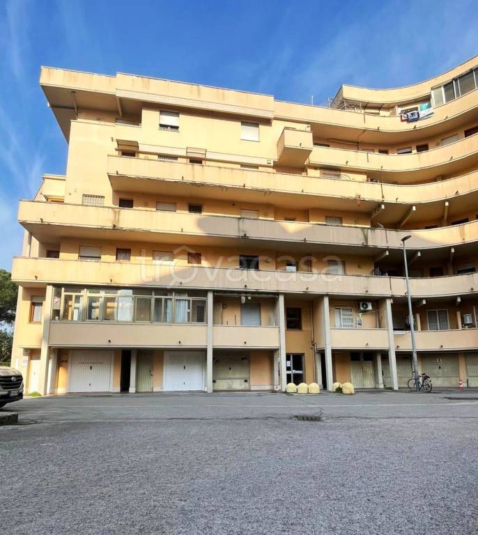 appartamento in vendita a Pisa in zona Cisanello