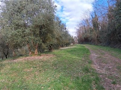 terreno in vendita a Pisa