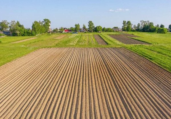 terreno agricolo in vendita a Pisa