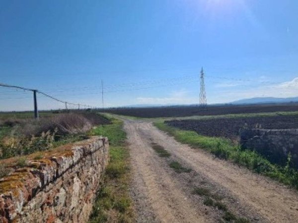 terreno agricolo in vendita a Pisa in zona Coltano
