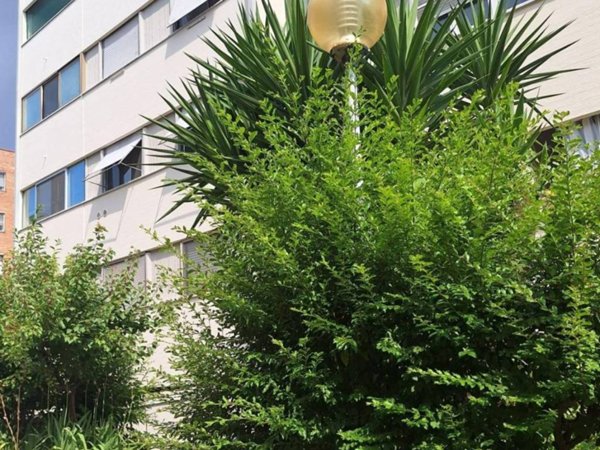 appartamento in vendita a Pisa in zona Ospedale Santa Chiara