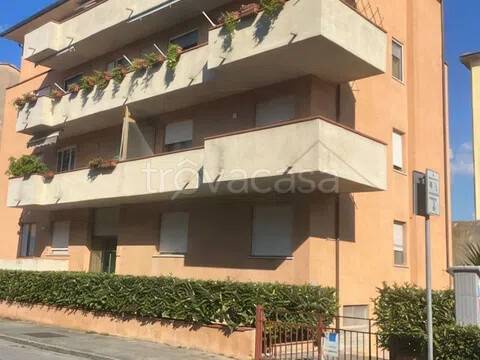 appartamento in vendita a Pisa in zona Quartiere San Giusto