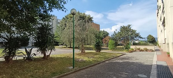 appartamento in vendita a Pisa in zona Cisanello