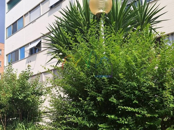 appartamento in vendita a Pisa in zona Cisanello