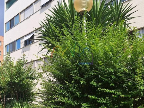 appartamento in vendita a Pisa in zona Cisanello