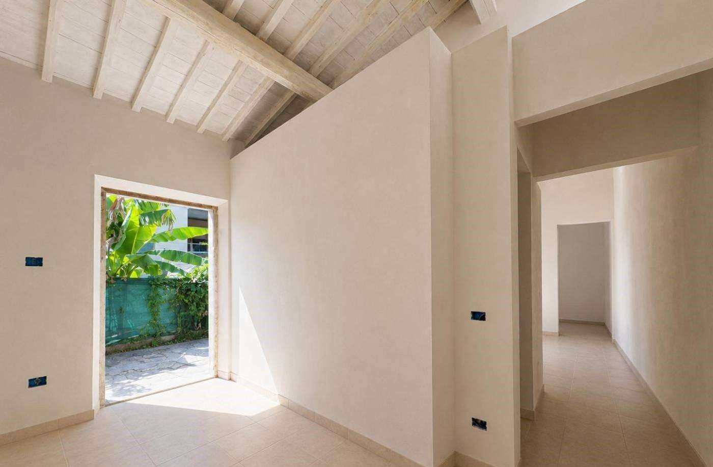 casa indipendente in vendita a Pisa