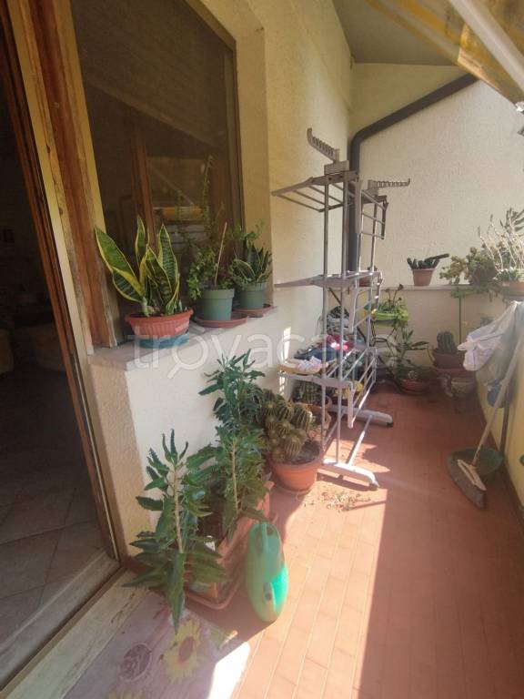 appartamento in vendita a Pisa in zona Barbaricina