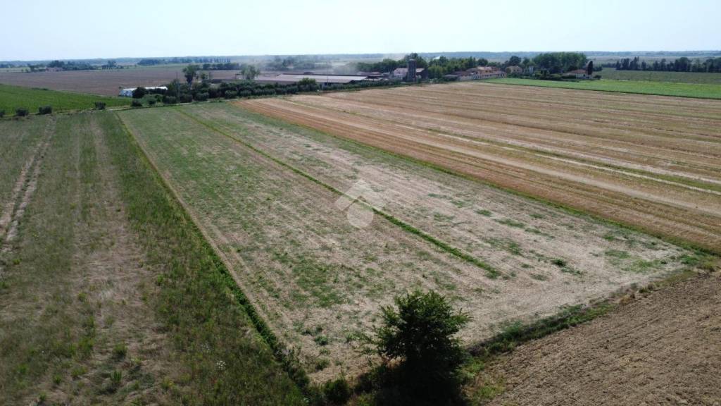 terreno agricolo in vendita a Pisa in zona Coltano