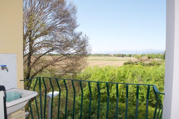 appartamento in vendita a Pisa in zona Coltano