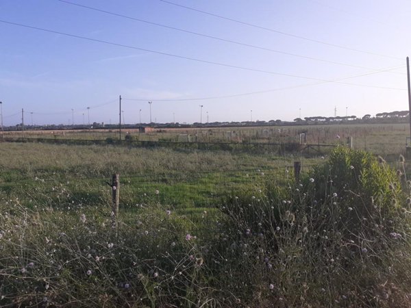 terreno agricolo in vendita a Pisa in zona Coltano
