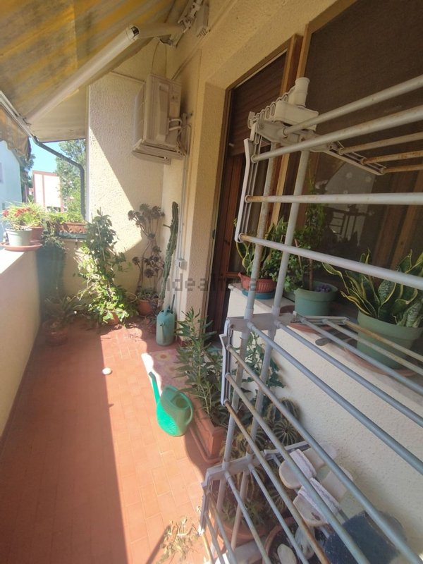 appartamento in vendita a Pisa in zona Coltano