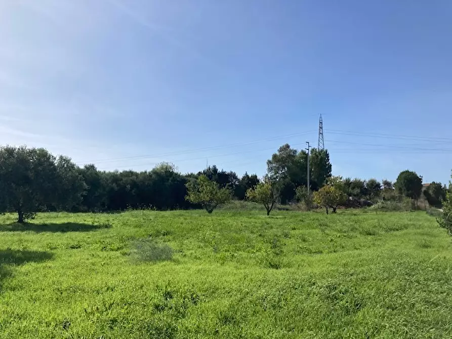 terreno agricolo in vendita a Pisa