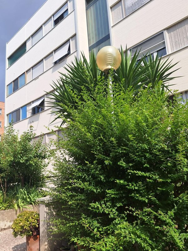 appartamento in vendita a Pisa in zona Cisanello