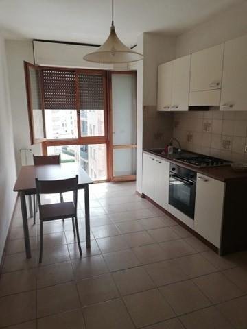 appartamento in vendita a Pisa in zona Cisanello
