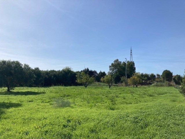 terreno in vendita a Pisa in zona La Vettola