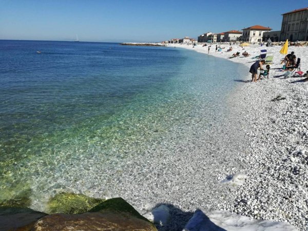 appartamento in vendita a Pisa in zona Marina di Pisa