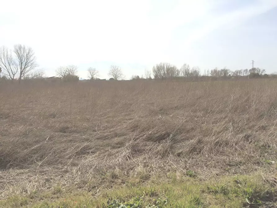 terreno in vendita a Pisa in zona La Vettola