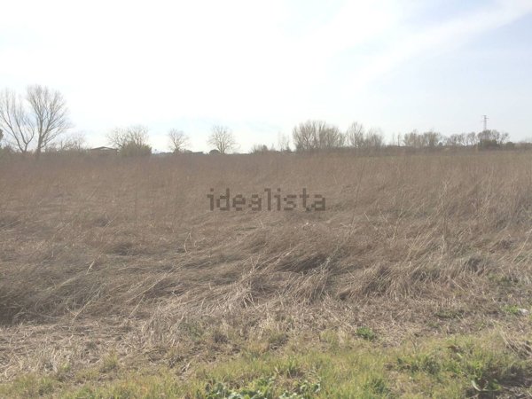 terreno in vendita a Pisa in zona Coltano