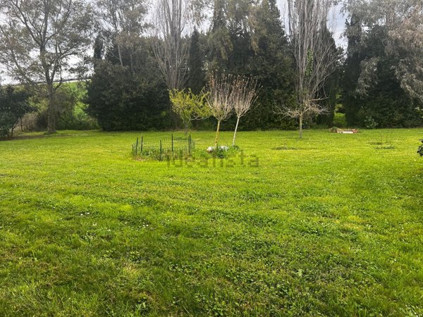 appartamento in vendita a Pisa