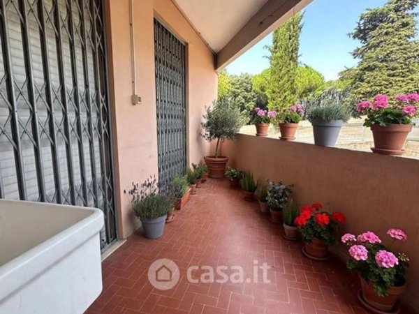 appartamento in vendita a Pisa in zona Landi